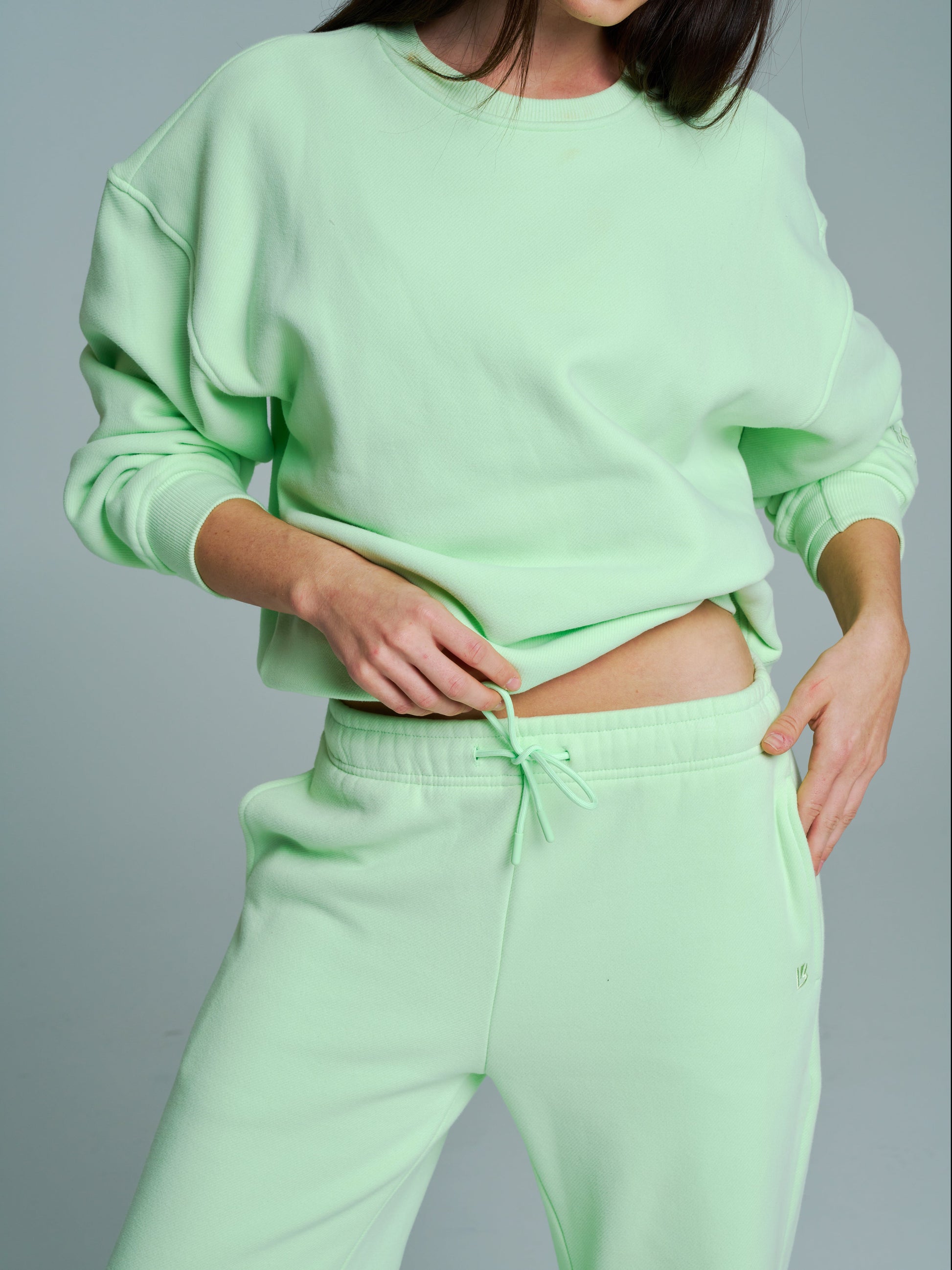 Plush Fleece Crew Pullover - Honeydew